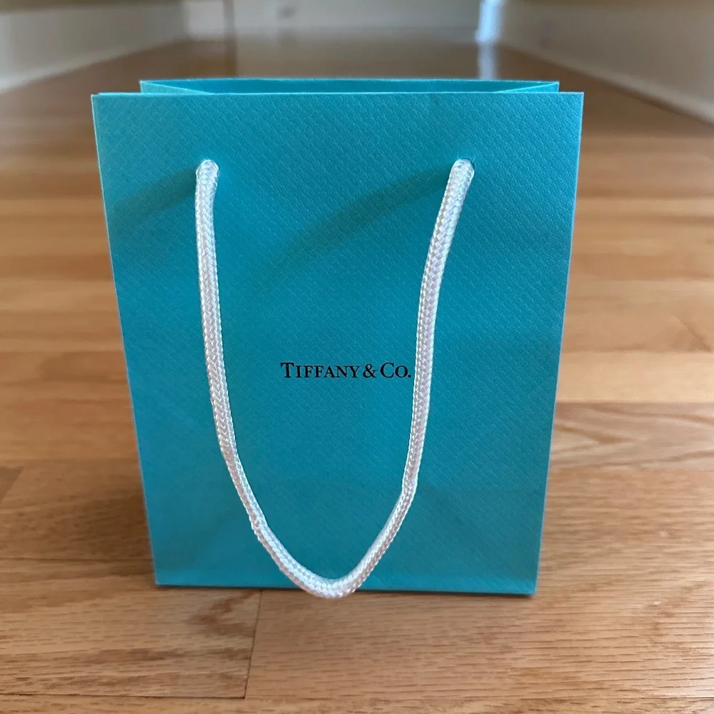 Tiffany & Co Paper Gift Bag Small 6